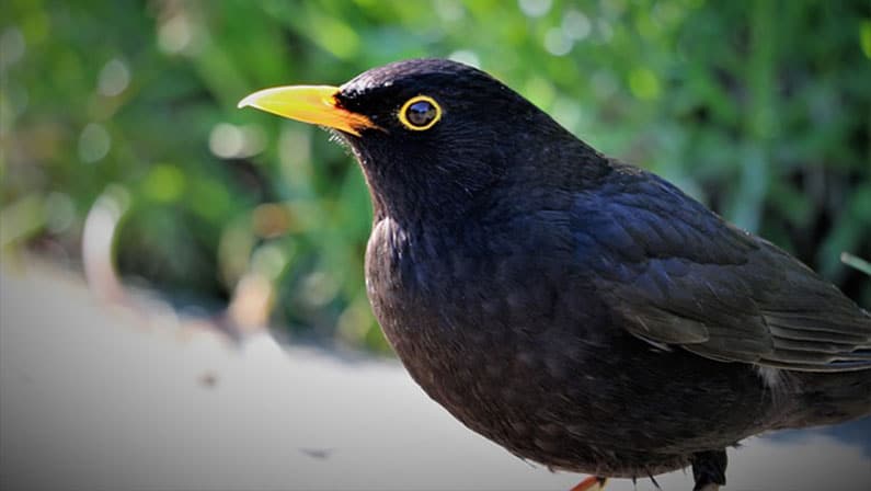 How often should we be tweeting?